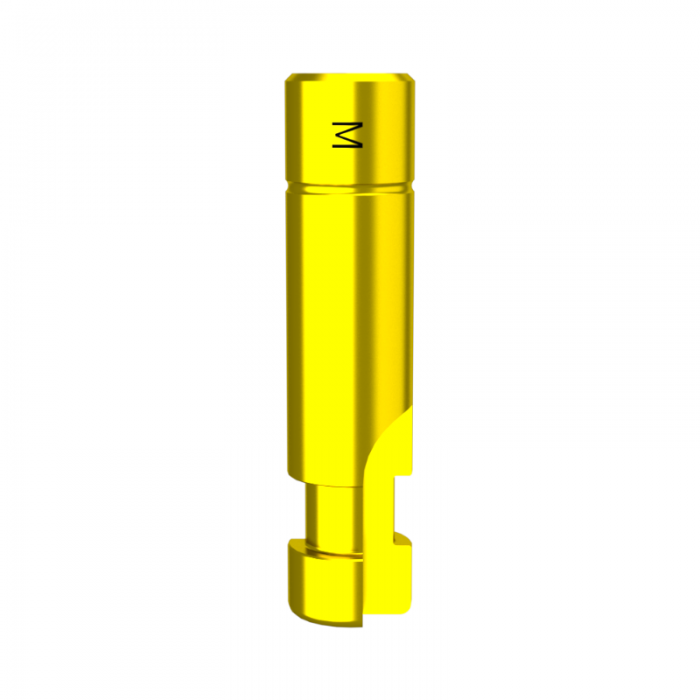 Réplica Mini DMR